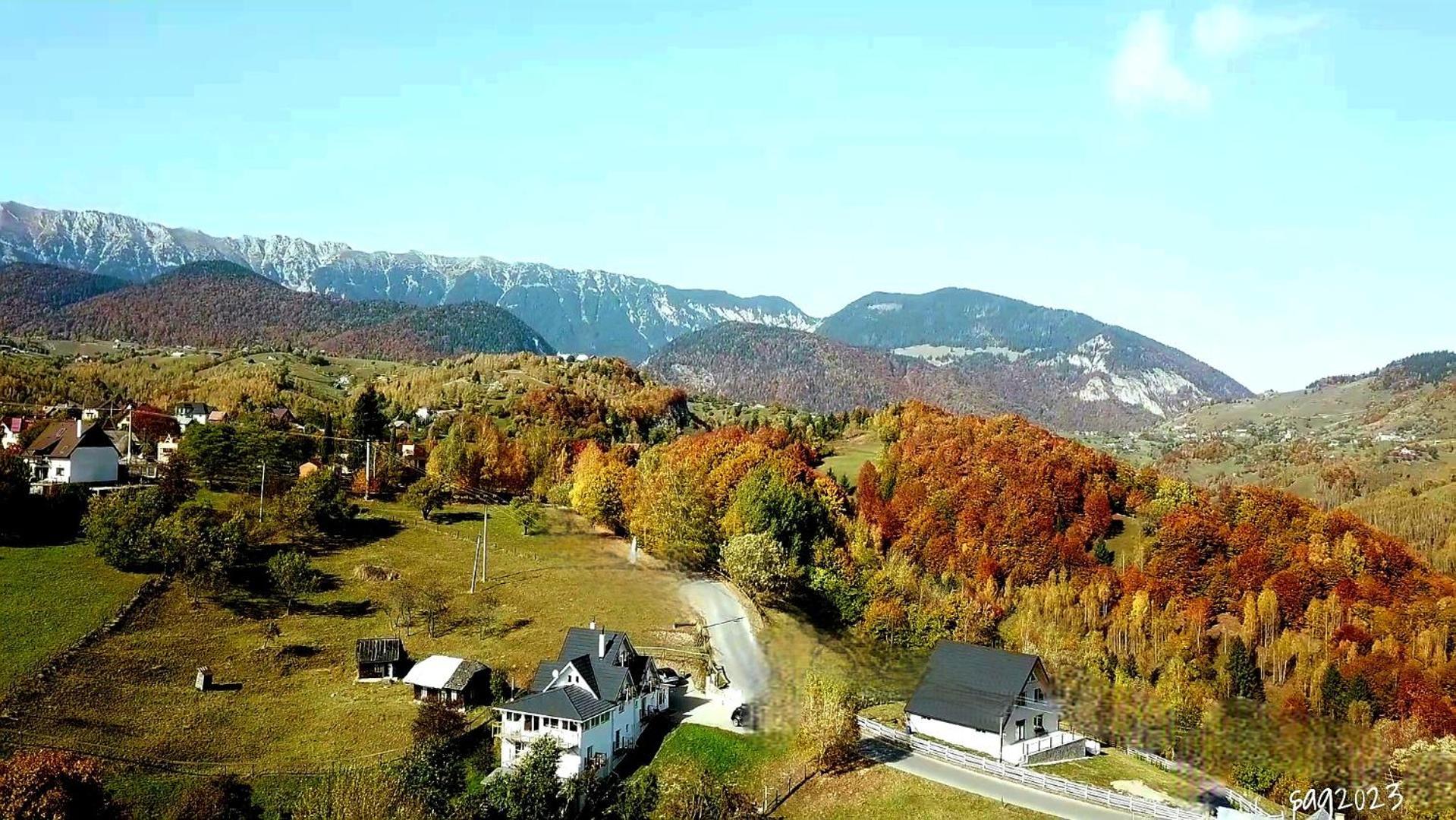 Carpathia Magic -Adults Only Villa Peştera Buitenkant foto