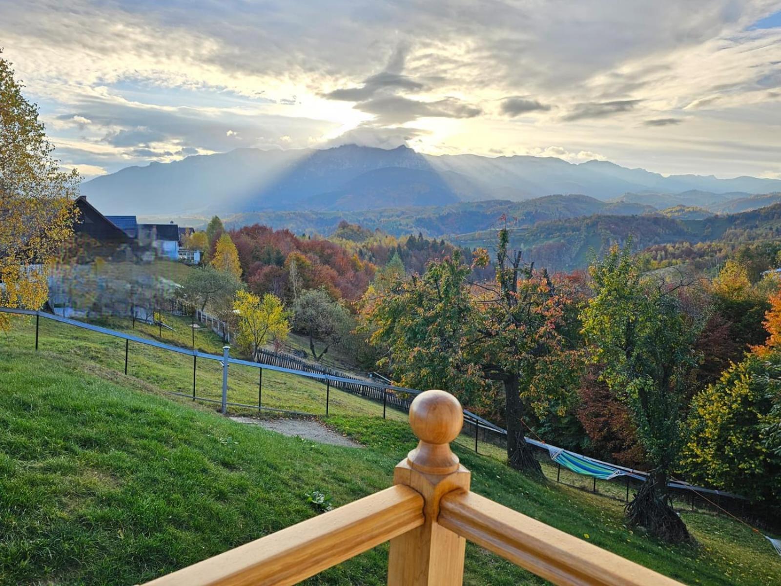 Carpathia Magic -Adults Only Villa Peştera Buitenkant foto