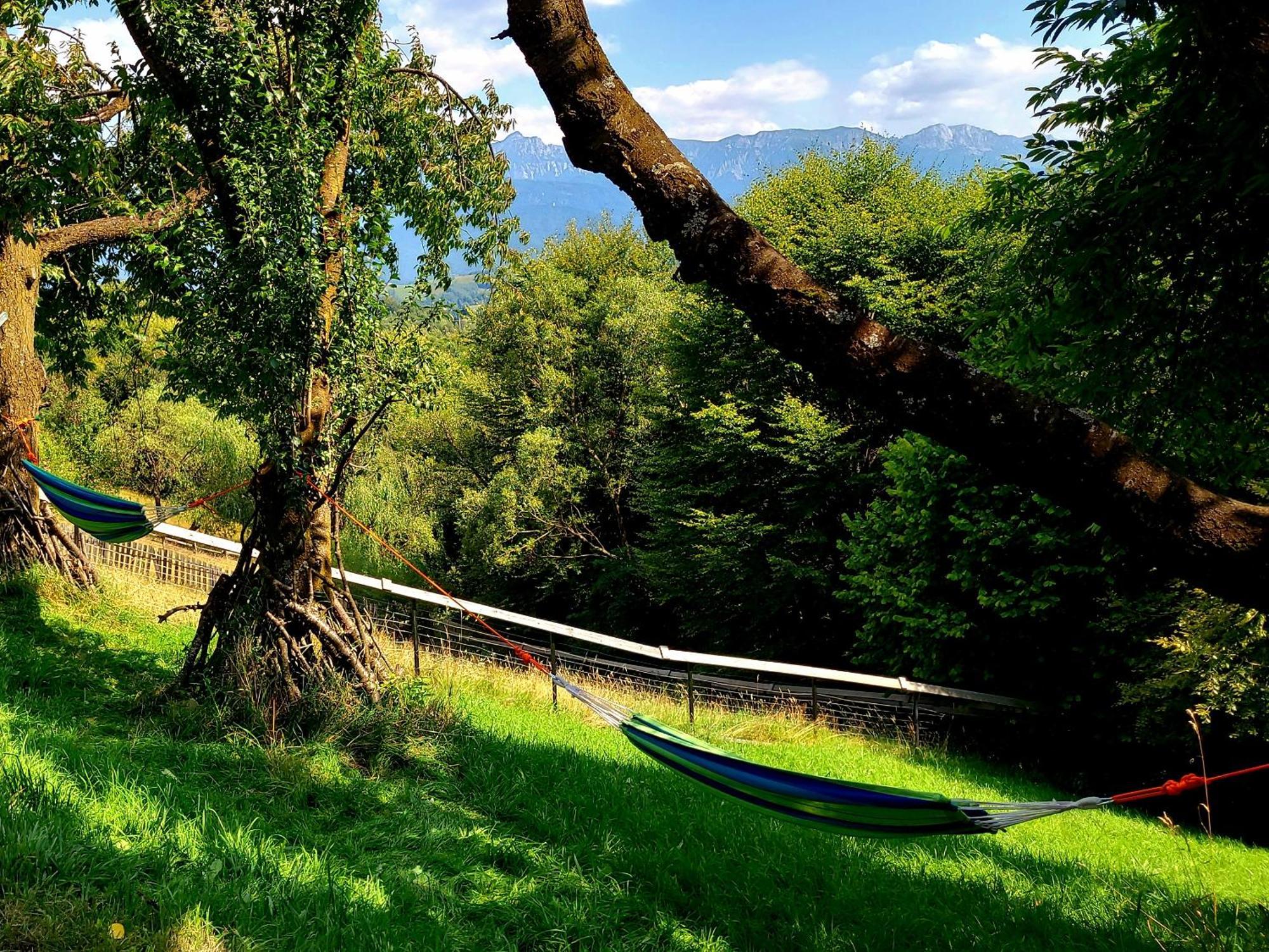 Carpathia Magic -Adults Only Villa Peştera Buitenkant foto